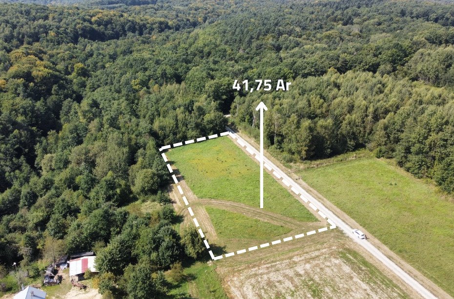 Działka z WZ pod dom i inwestycję, las, 41,75 ara Nowy Borek  4 175m2 Foto 1