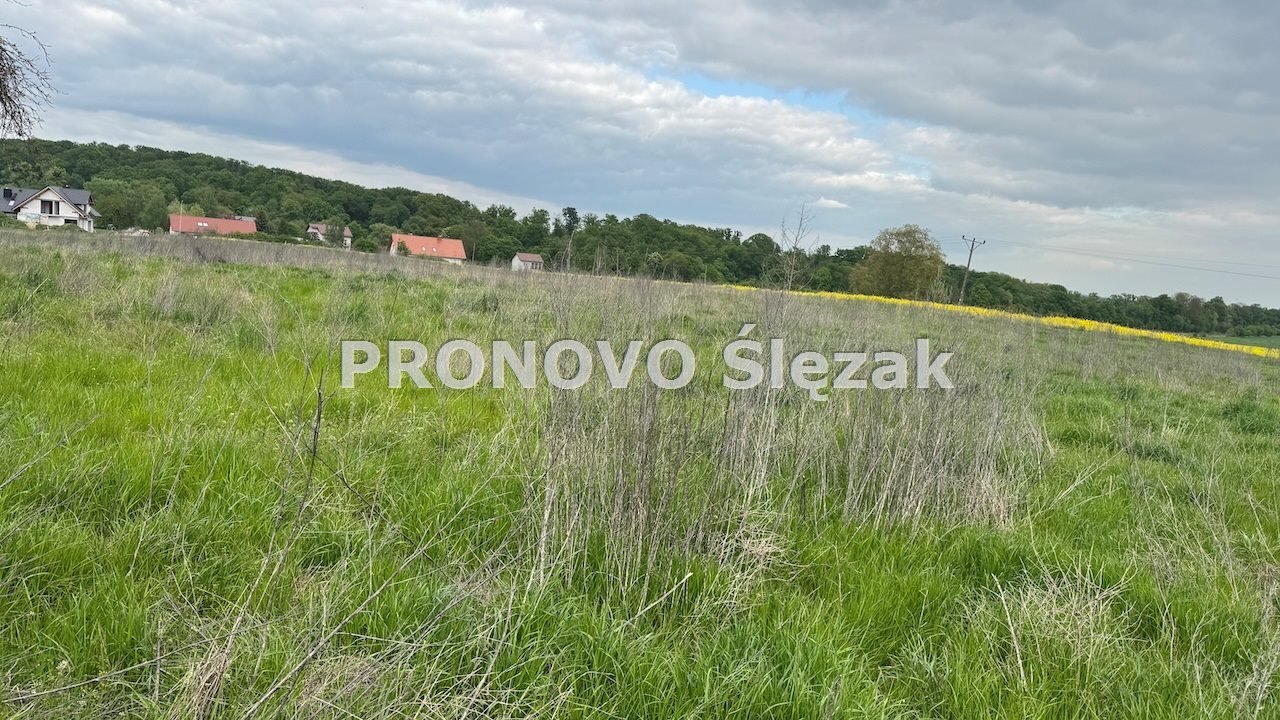 Działka 1,26 ha z potencjałem zabudowy, cisza i blisko natury Trzebnica, Skarszyn  12 613m2 Foto 1
