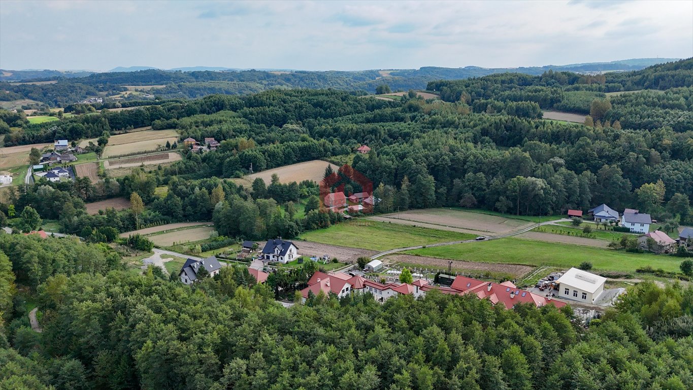 Działka budowlana na sprzedaż Niedźwiada  3 800m2 Foto 1