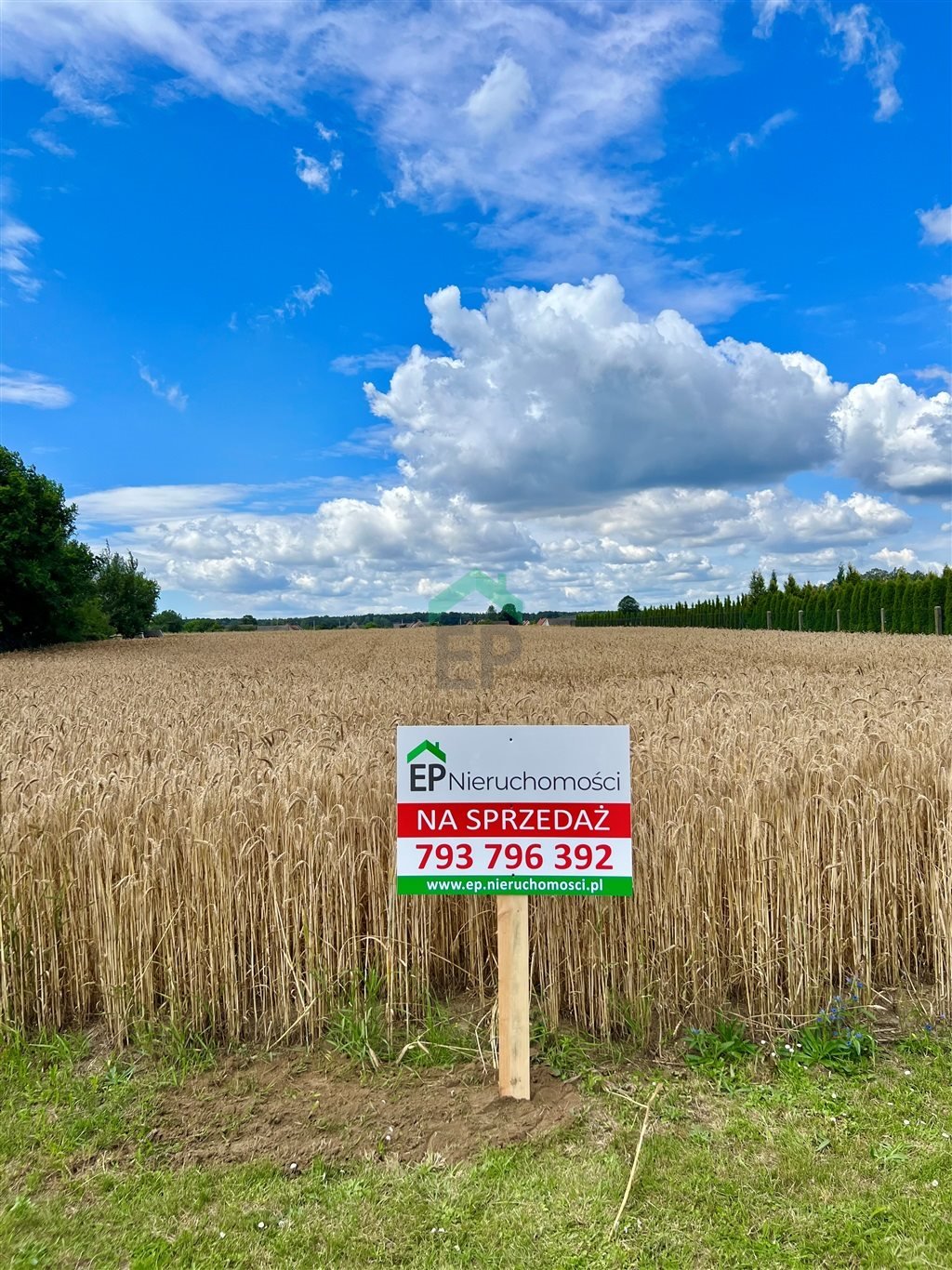 Działka inna na sprzedaż Sieraków Śląski  3 088m2 Foto 2