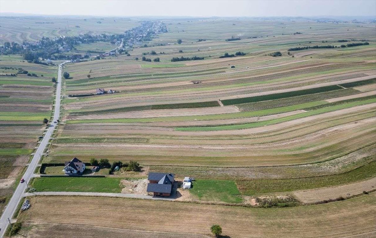 Działka siedliskowa na sprzedaż Sułoszowa  29 400m2 Foto 5