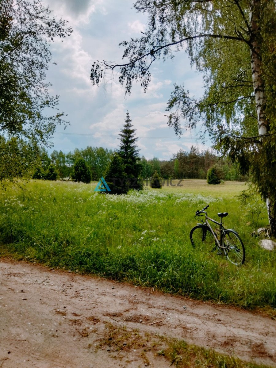 Działka przemysłowo-handlowa na sprzedaż Stara Kiszewa, Leśna  13 199m2 Foto 6