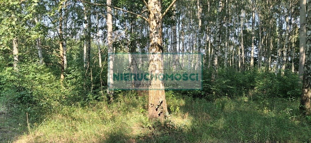 Zdjęcie 2
