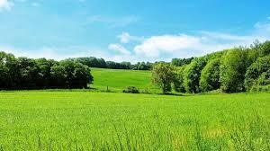 Działka budowlano-rolna 25 arów z dużym ogrodem i szybkim dojazdem Rączna  2 500m2 Foto 1