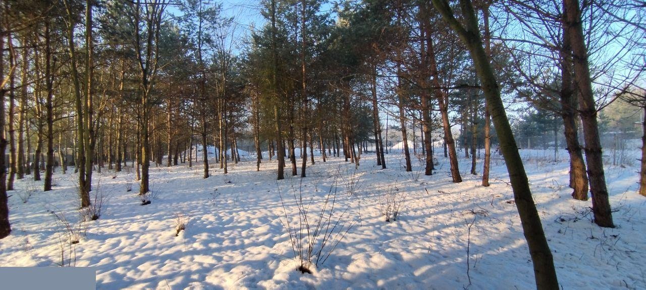 Działka budowlana na sprzedaż Zawiercie  803m2 Foto 4