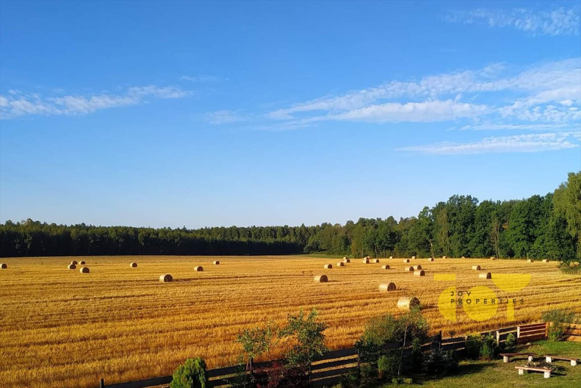 Działka rolna na sprzedaż Przepitki  9 000m2 Foto 3