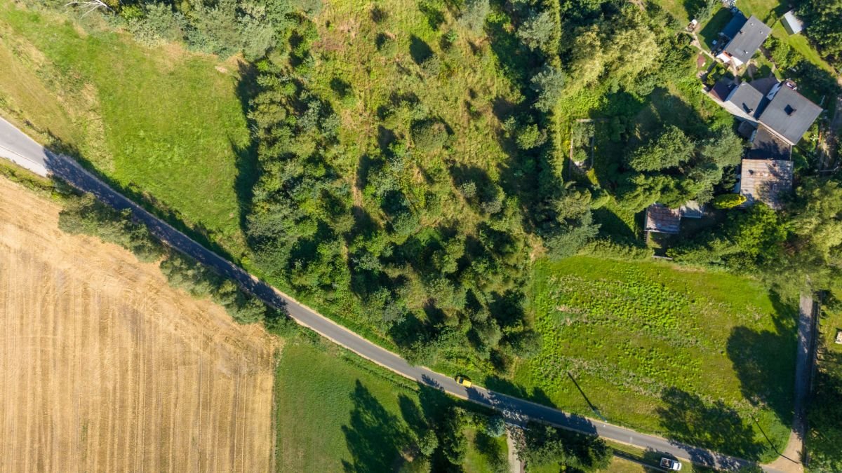 Działka budowlana na sprzedaż Woźniki, Sulów  1 319m2 Foto 5