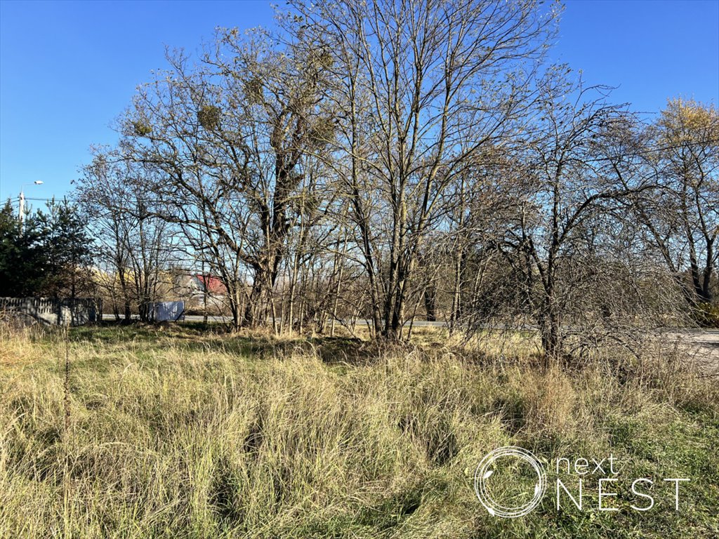 Działka pod zabudowę siedliskową w Brześcach, 1226 m2 Brześce, Wilanowska  1 226m2 Foto 1