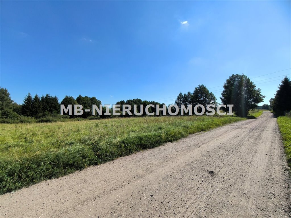 Działka nad jeziorem Wipsowskim z mediami - polecam! Wipsowo  4 841m2 Foto 1