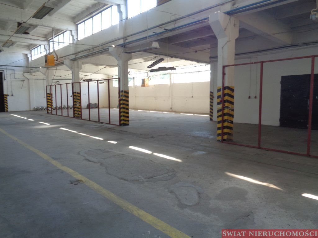 Magazyn na sprzedaż Paczków  2 732m2 Foto 2