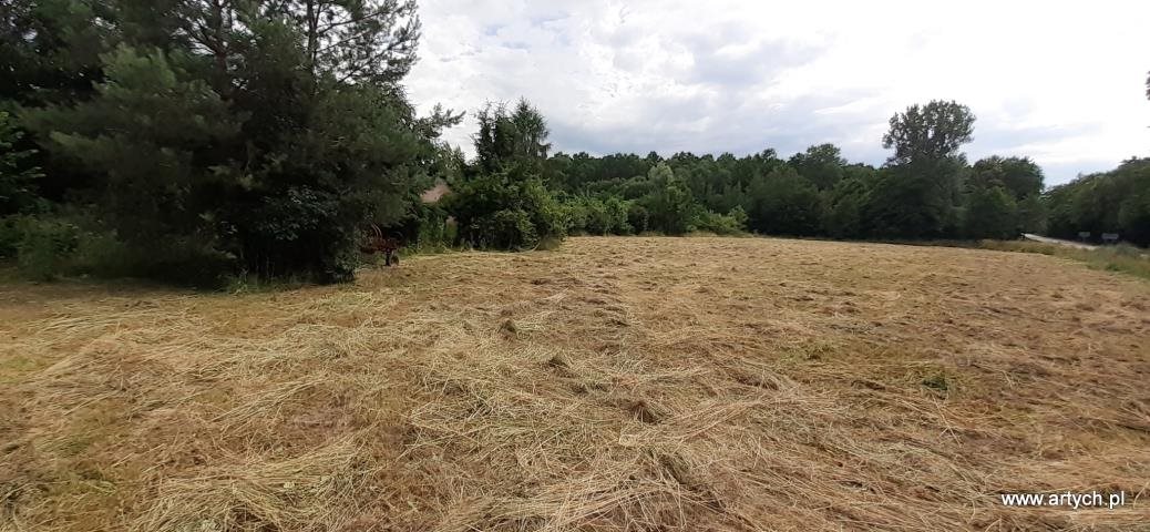 Na sprzedaż działka 3035 m² przy drodze asfaltowej z mediami Wyrąb  3 035m2 Foto 1