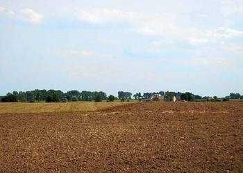 Działka rolna na sprzedaż Lisewo  24 000m2 Foto 1