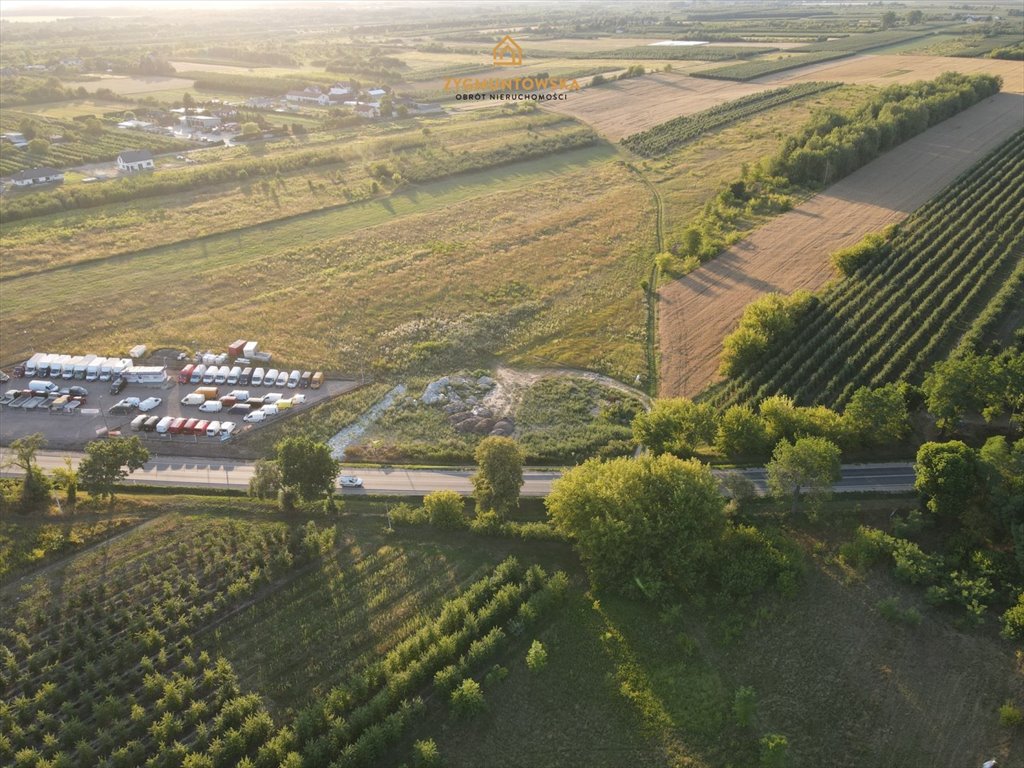 Działka rolna na sprzedaż Nowe Miasto nad Pilicą, Pobiedna, Pobiedna  2 543m2 Foto 4