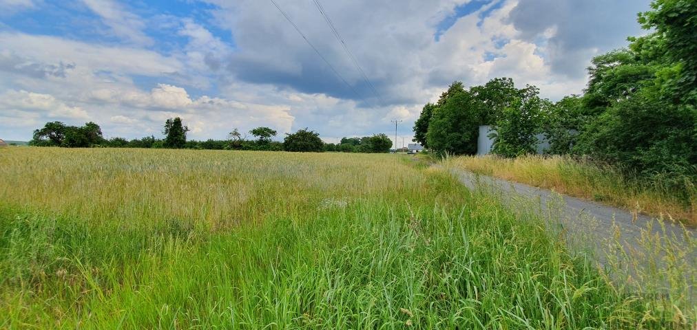 Działka budowlana na sprzedaż Niałek Wielki  1 100m2 Foto 2