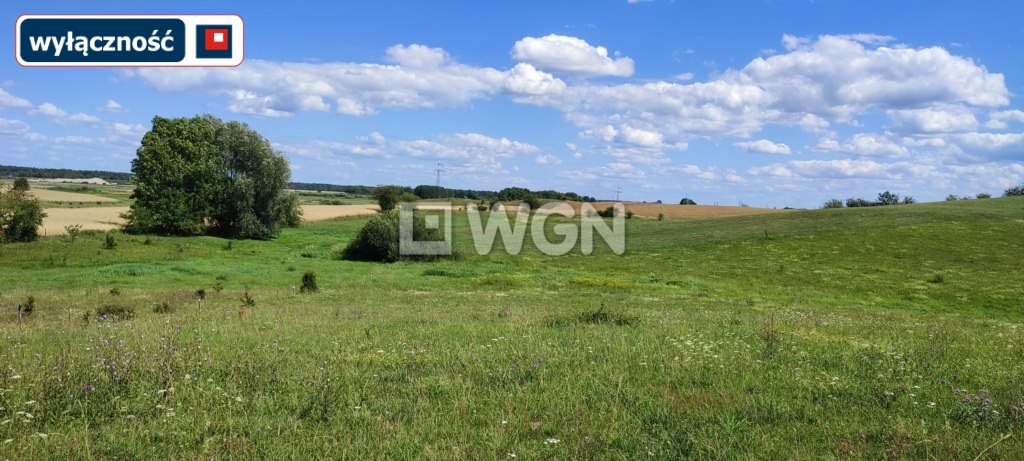 Działka inna na sprzedaż Miłusze  6 500m2 Foto 3