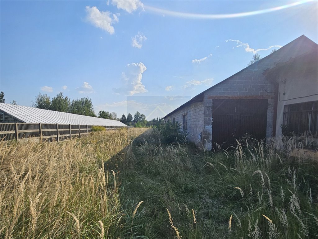 Magazyn na sprzedaż Gorzelnia, Nowa Gorzelnia  330m2 Foto 5