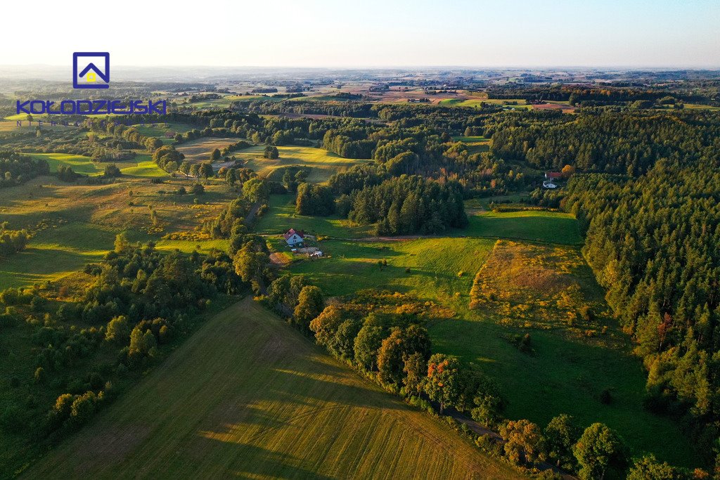 Działka rolna na sprzedaż Pupki  3 009m2 Foto 2