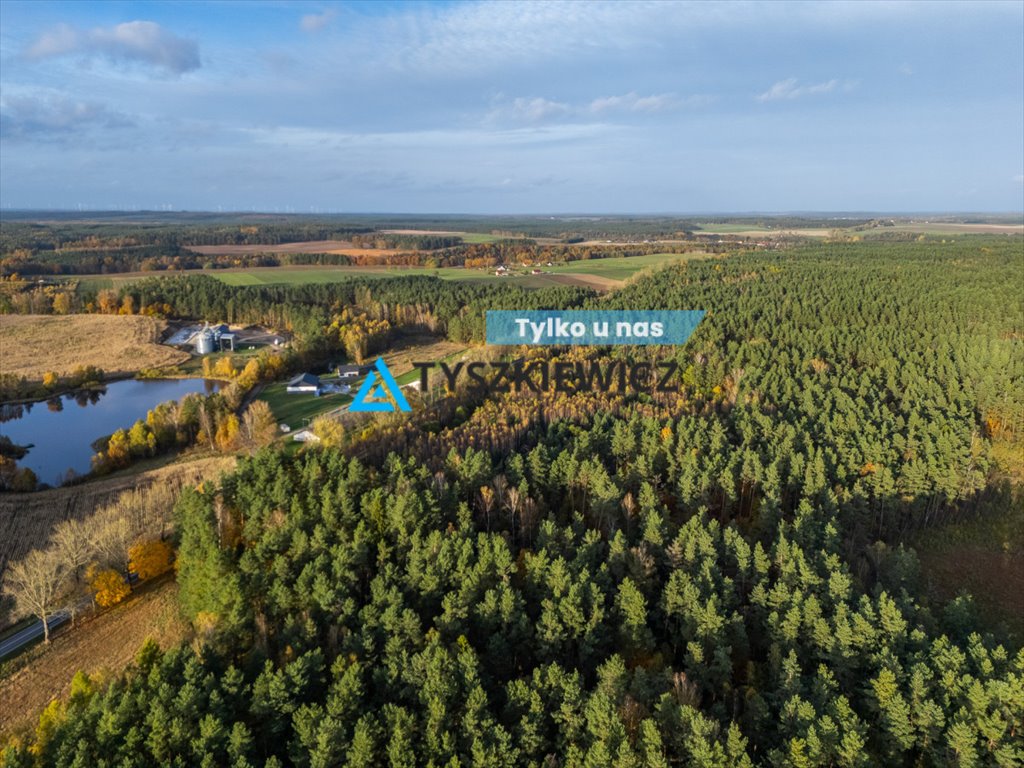 Działka rolna na sprzedaż Nożynko  59 100m2 Foto 1