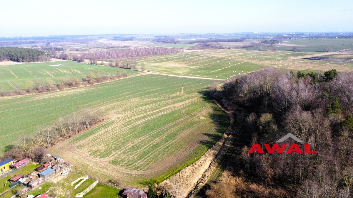 Działka gospodarstwo rolne na sprzedaż Sulicice  3 000m2 Foto 4