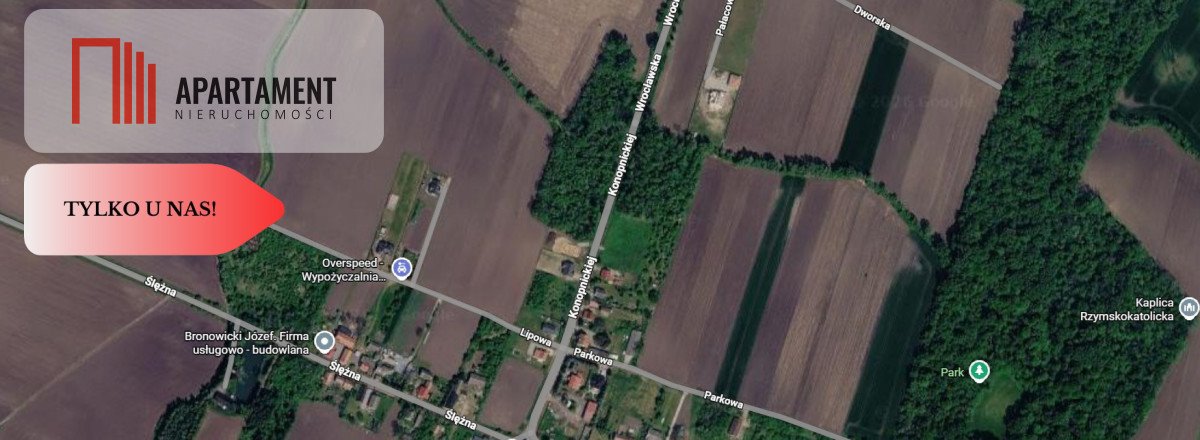 Zdjęcie 5