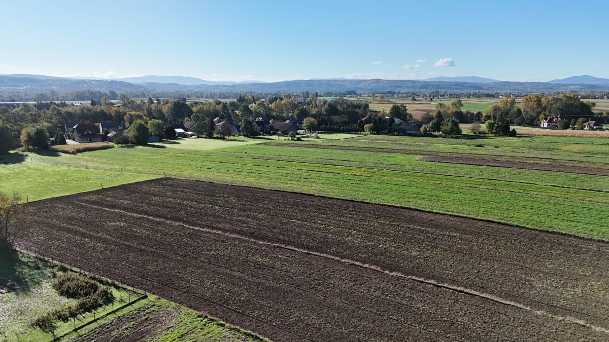 Działka rolna na sprzedaż Książnice, Książnice  13 700m2 Foto 7