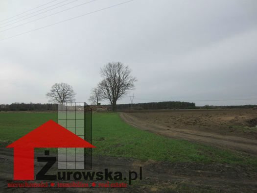 Działka rolna na sprzedaż Węgliniec  2 000 000m2 Foto 3