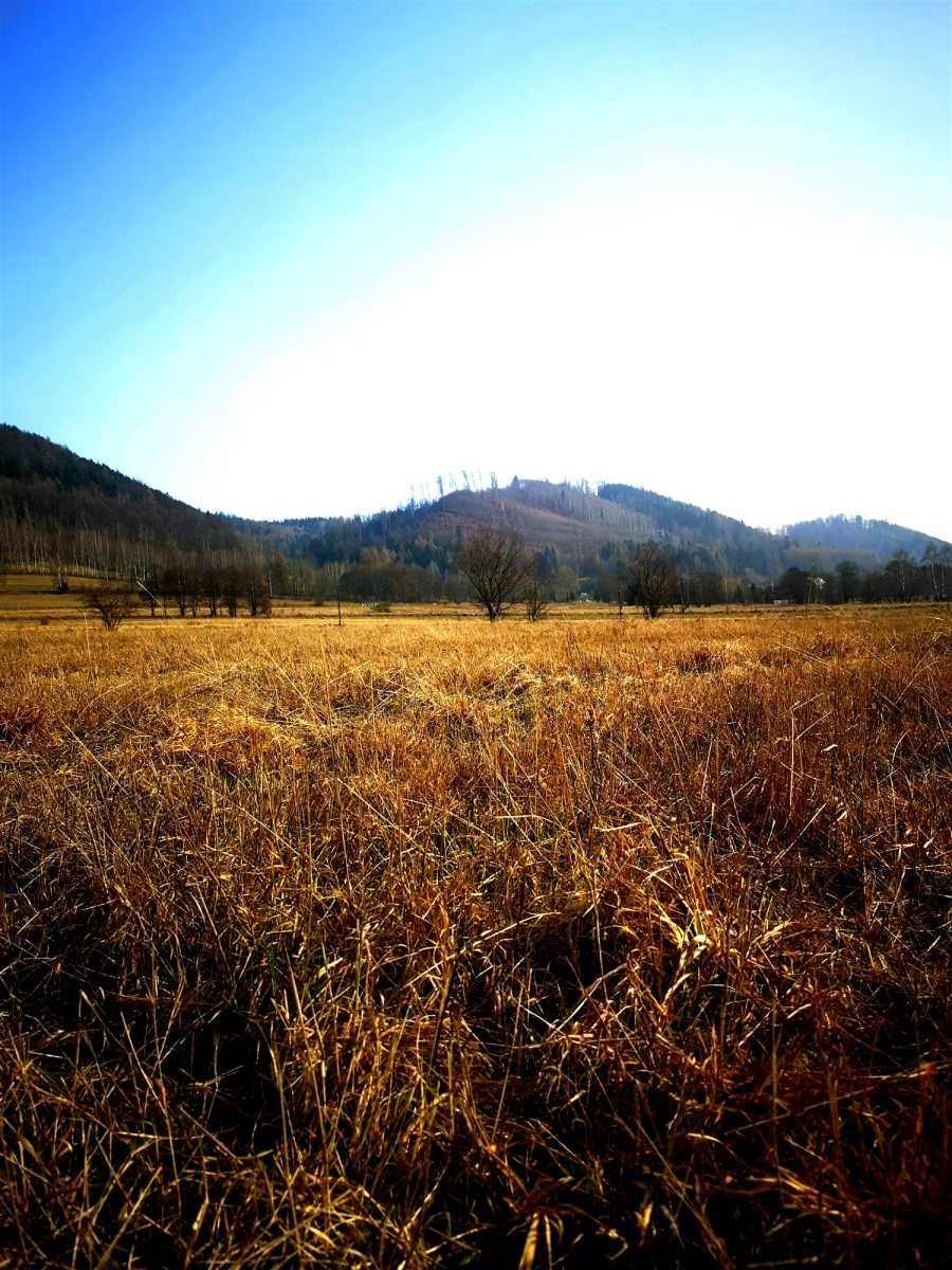 Działka budowlana na sprzedaż Międzylesie, Jaworek  1 066m2 Foto 2