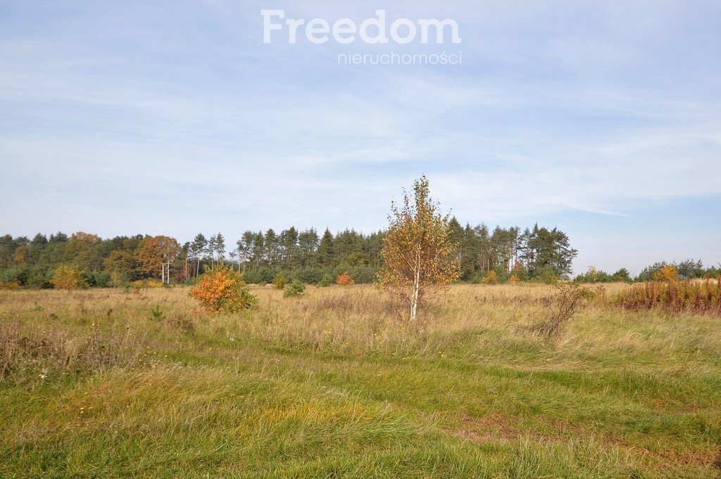 Działka budowlana na sprzedaż Siedliska  735m2 Foto 5