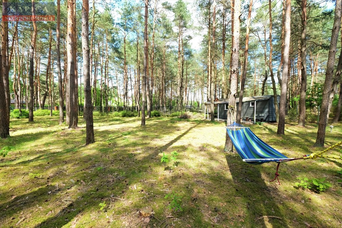 Polecam działkę 2000 m² w lesie pod Radzyminem na biwak i relaks Radzymin, Rejentówka, Borkowska  2 000m2 Foto 1
