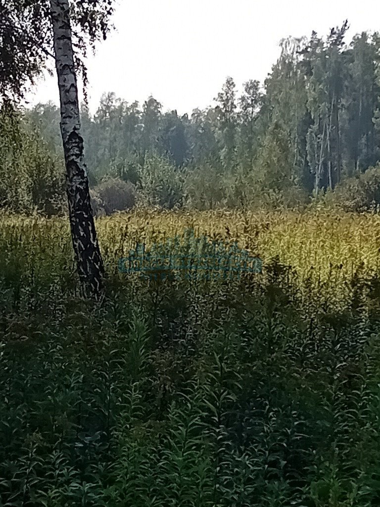 Działka budowlana na sprzedaż Izabelin-Dziekanówek  1 200m2 Foto 12