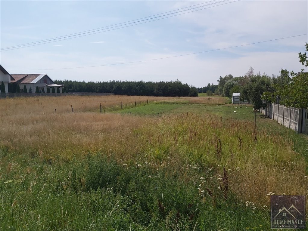 Działka budowlana na sprzedaż Skrzynka  1 300m2 Foto 3