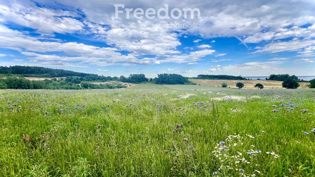 Działka budowlana na sprzedaż Dargobądz  18 900m2 Foto 12