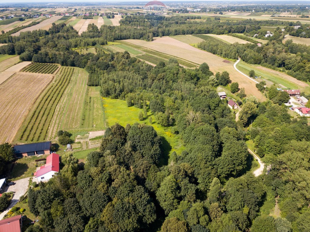 Działka siedliskowa na sprzedaż Stok  22 572m2 Foto 6