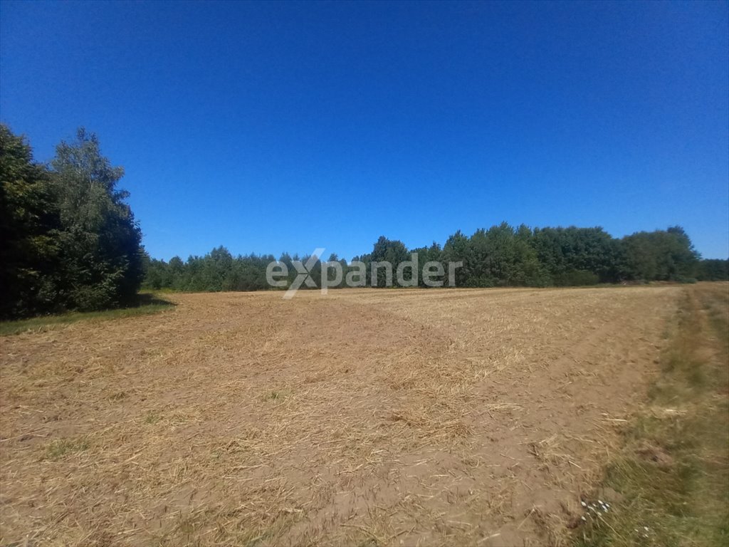 Działka rolna na sprzedaż Blinno  18 200m2 Foto 4