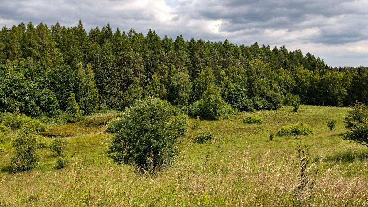 Działka budowlana na sprzedaż Gromadzin  3 143m2 Foto 9