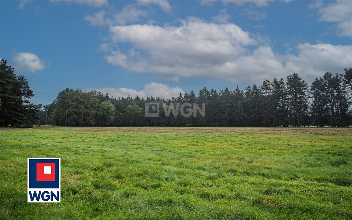 Działka rolna na sprzedaż Ołobok, centrum  91 500m2 Foto 3