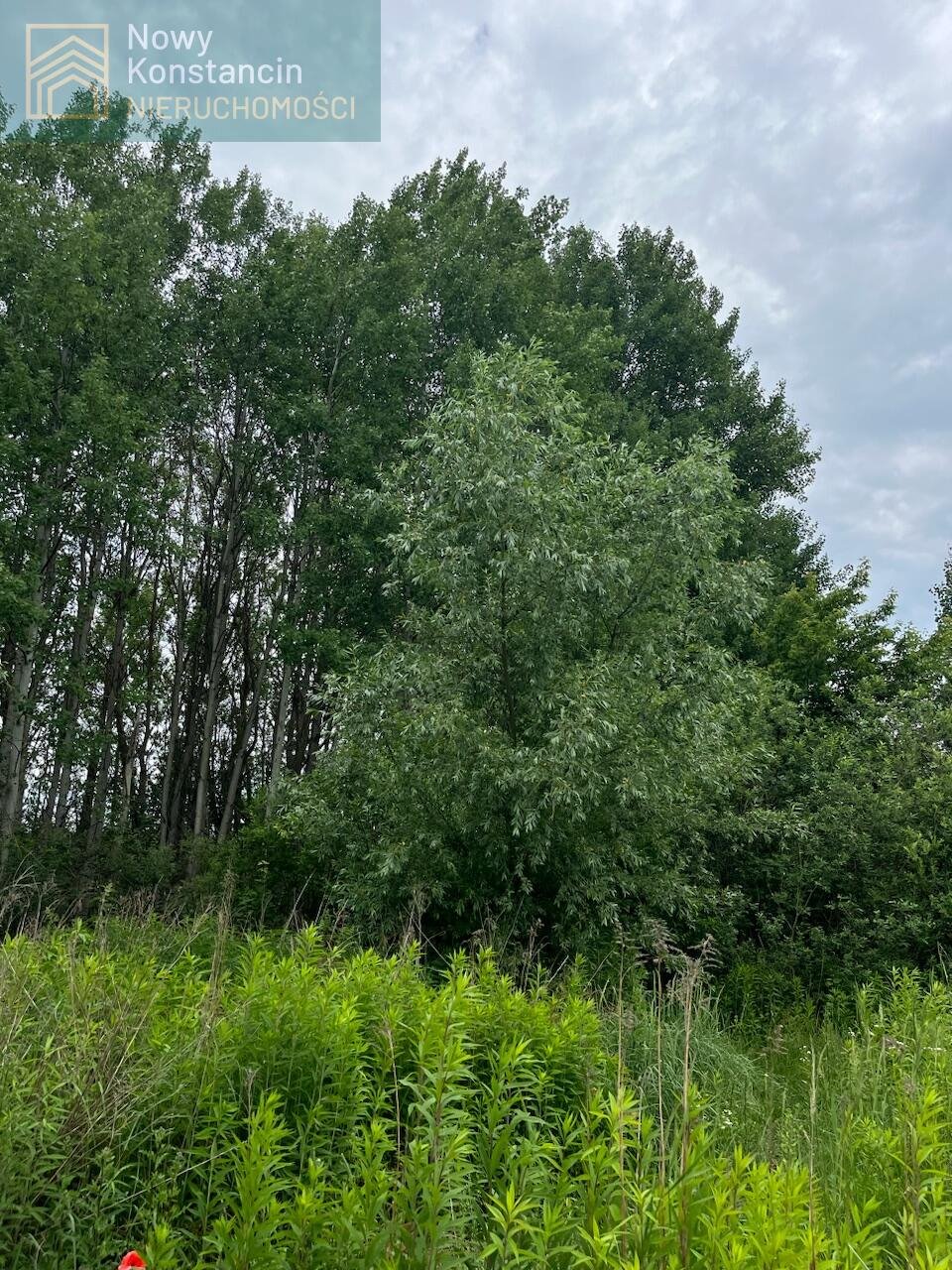 Działka 2000 m² pod zabudowę jednorodzinną w Borowinie Konstancin-Jeziorna, Borowina  2 000m2 Foto 1