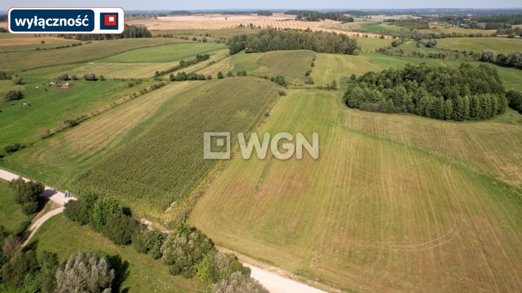 Działka budowlana na sprzedaż Karbowskie  3 100m2 Foto 1