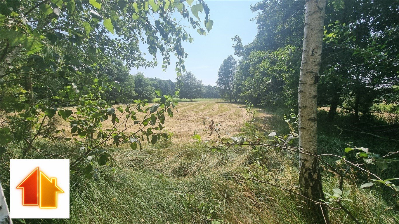 Grunt rolny 1,3 ha z mediami (woda, prąd) w pobliżu Słupna Słupno, Wiślana  13 000m2 Foto 1