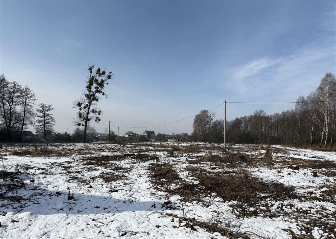 Duża działka inwestycyjna 1,75 ha z mediami i utwardzoną drogą Wołczyn  17 500m2 Foto 1