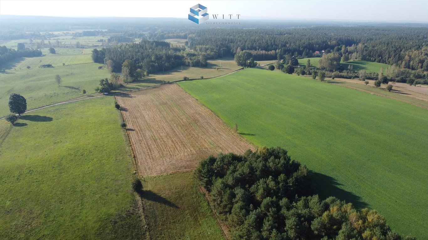 Działka budowlana na sprzedaż Molza  3 331m2 Foto 6