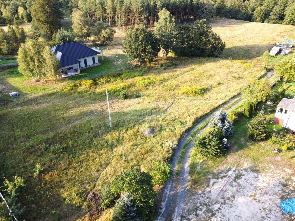 Działka budowlana na sprzedaż Ławszowa  3 100m2 Foto 3