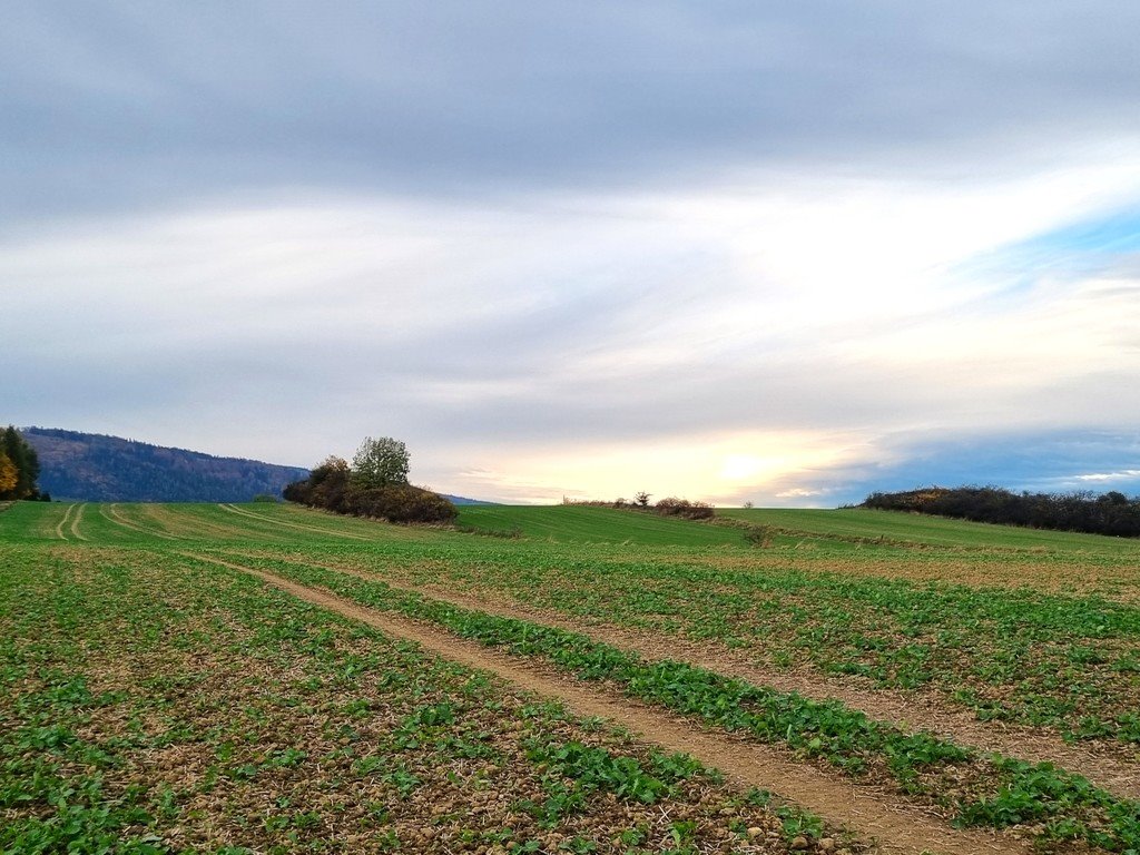 Działka inna na sprzedaż Bystrzyca Kłodzka  1 625m2 Foto 8