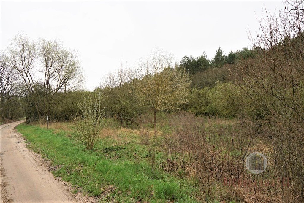 Urokliwa działka 12 600 m² z możliwością podziału zapraszam Nowe Kurowo  12 600m2 Foto 1