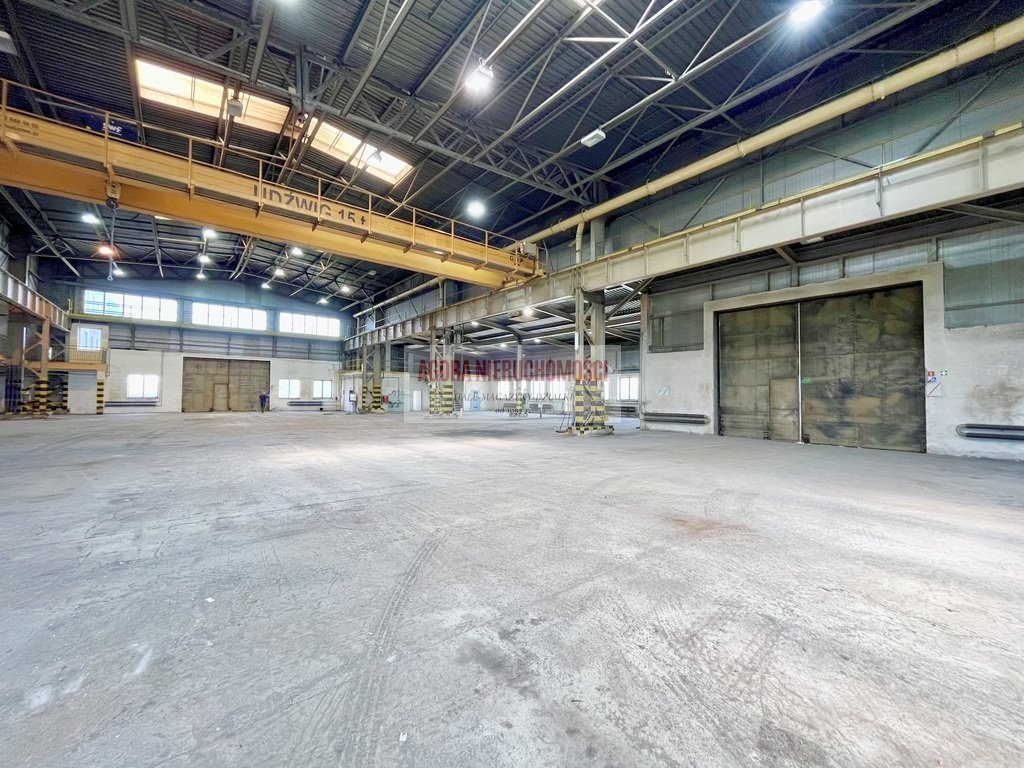 Magazyn na wynajem Kraków, Rybitwy, Rybitwy, Półłanki  1 000m2 Foto 1