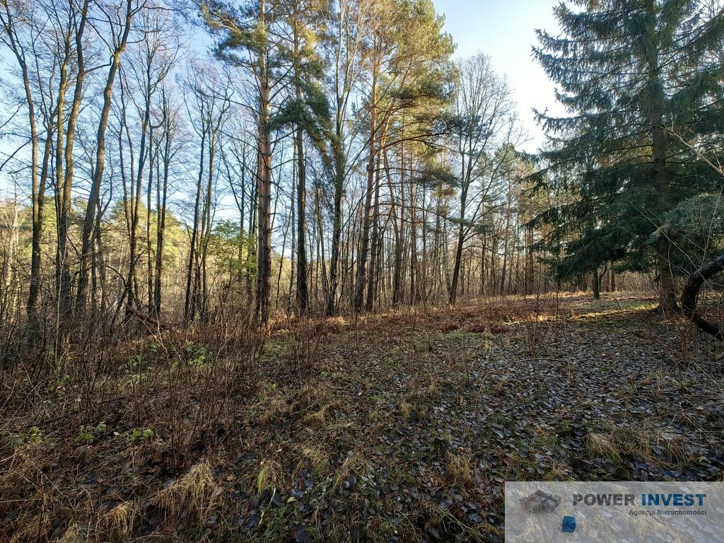 Działka budowlana na sprzedaż Grabce Józefpolskie  5 000m2 Foto 2