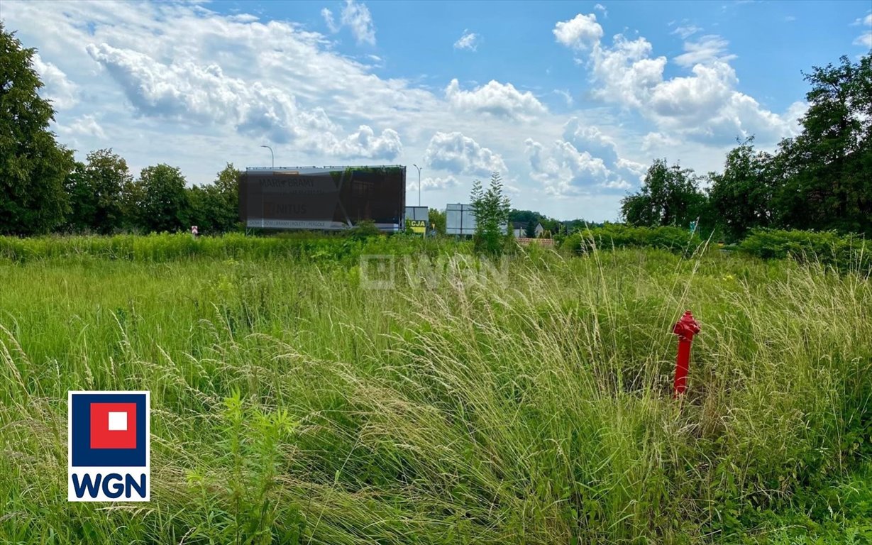 Działka inwestycyjna na sprzedaż Pawłowice  2 529m2 Foto 5