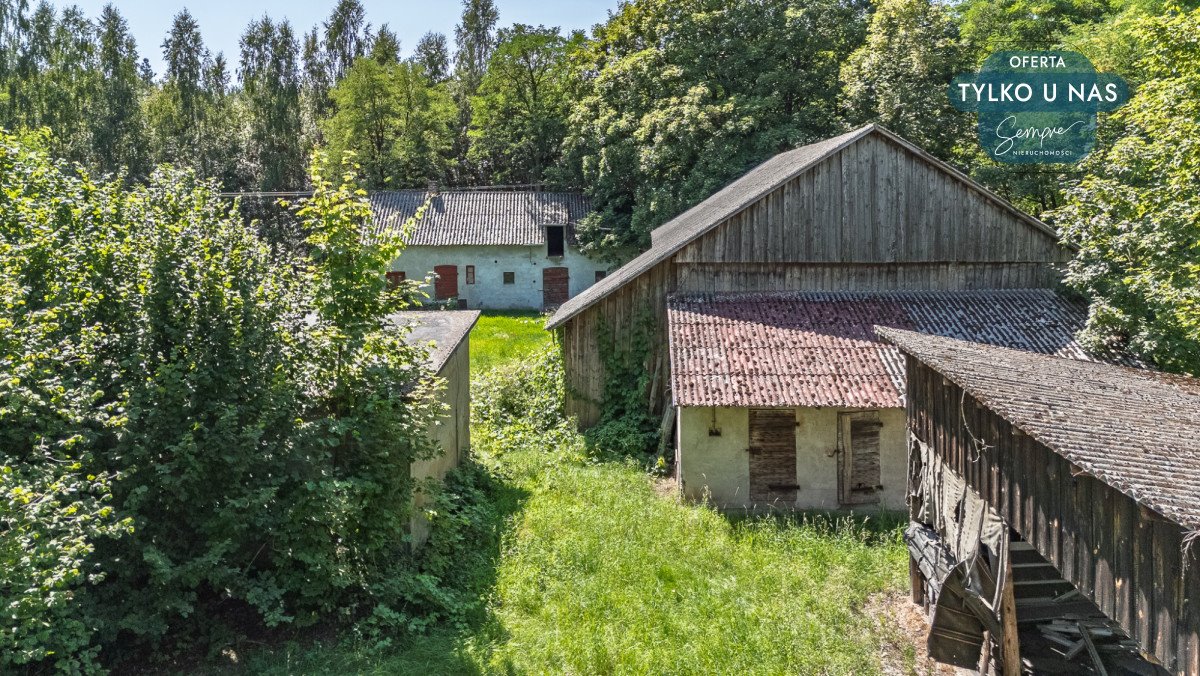 Działka 8600 m² z lasem, zabudowaniami i dostępem do mediów Stefanów Ruszkowski  8 600m2 Foto 1