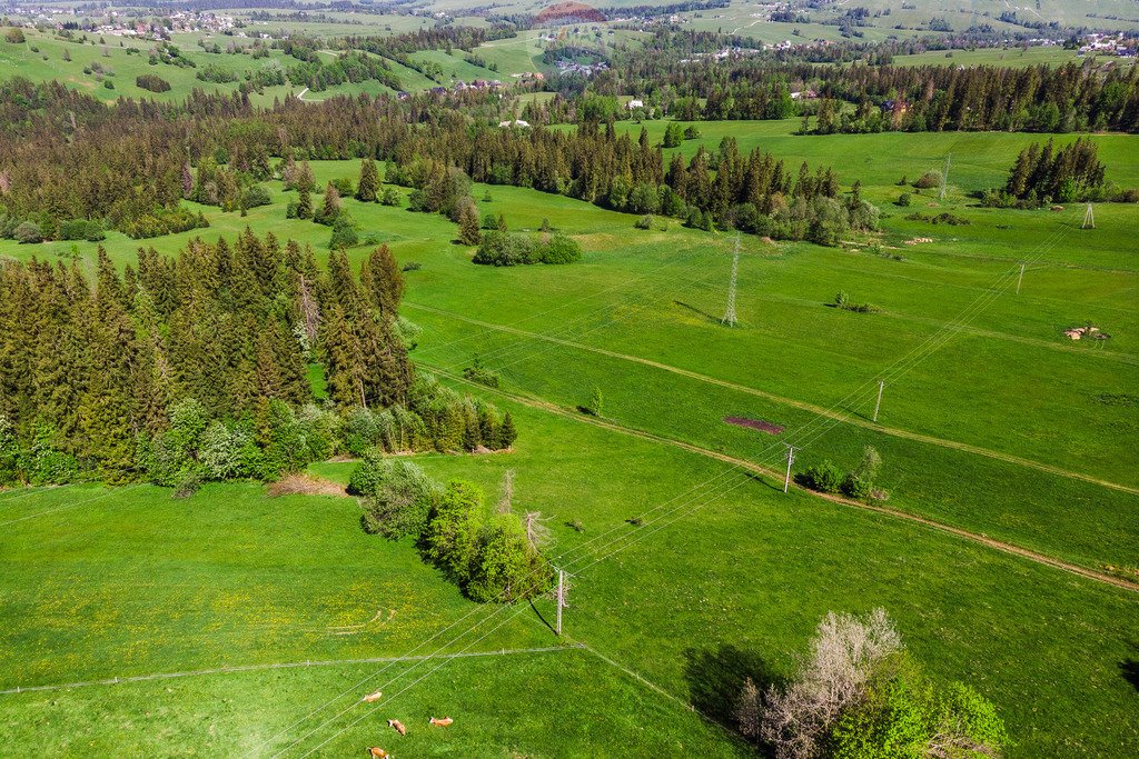 Działka rolna na sprzedaż Sierockie  1 365m2 Foto 10