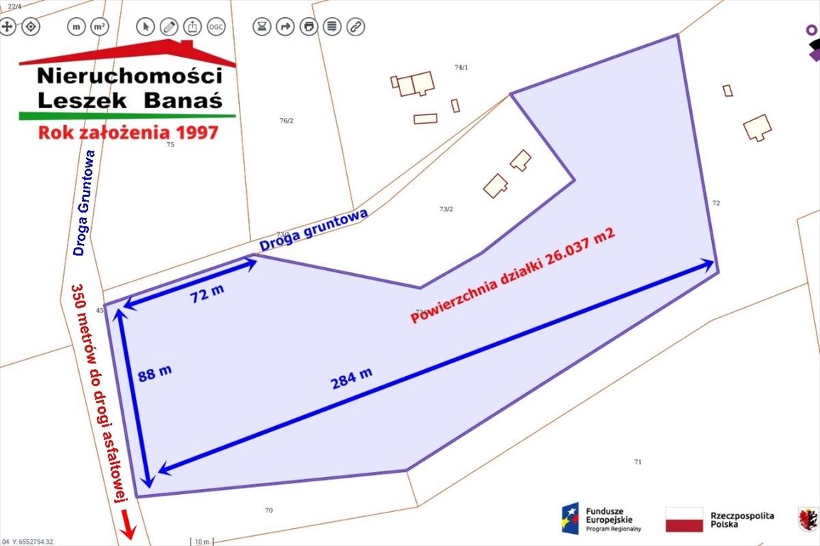 Działka rolna 26 tys. m² z drzewami, asfalt graniczy - polecam Wiewiórki  26 037m2 Foto 1